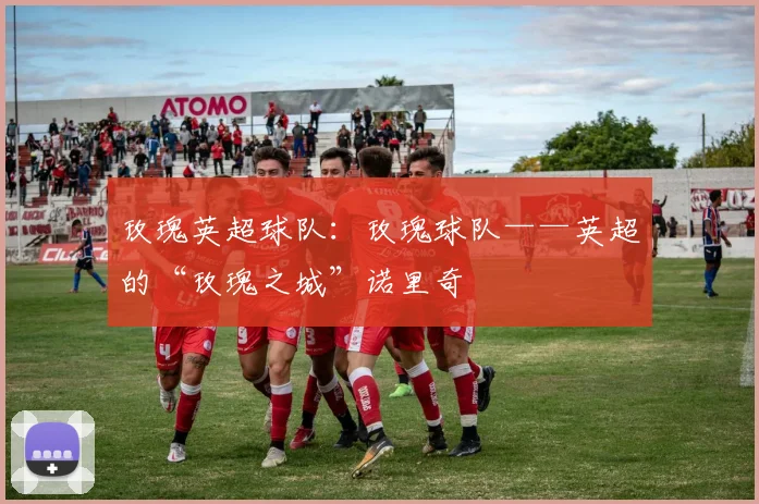 玫瑰英超球队：玫瑰球队——英超的“玫瑰之城”诺里奇