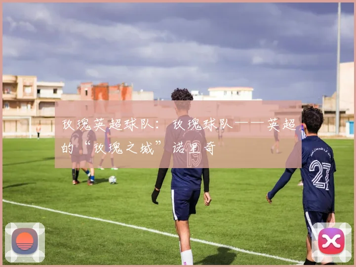 玫瑰英超球队：玫瑰球队——英超的“玫瑰之城”诺里奇