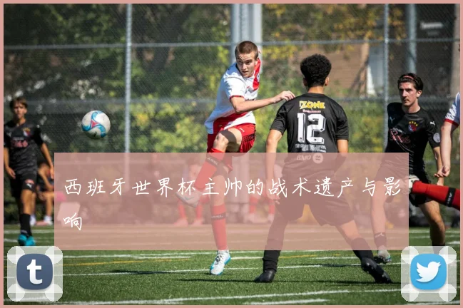 西班牙世界杯主帅的战术遗产与影响